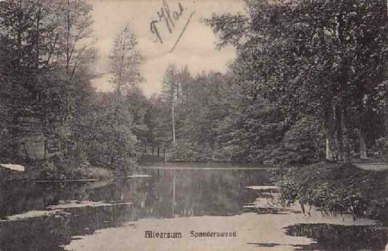 Spanderswoud+Vijver+1910+Blommesteijn+2671