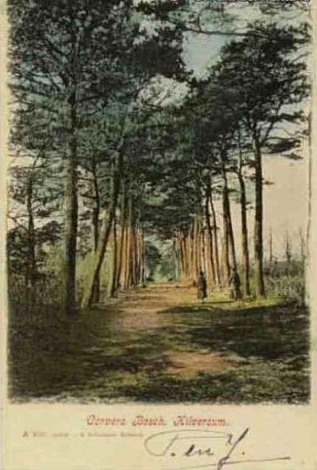 Corvers Bosch 1905 …