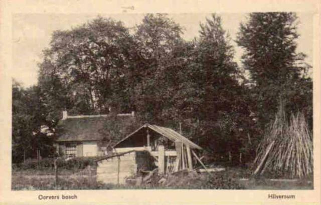 Corvers bosch 1918 …