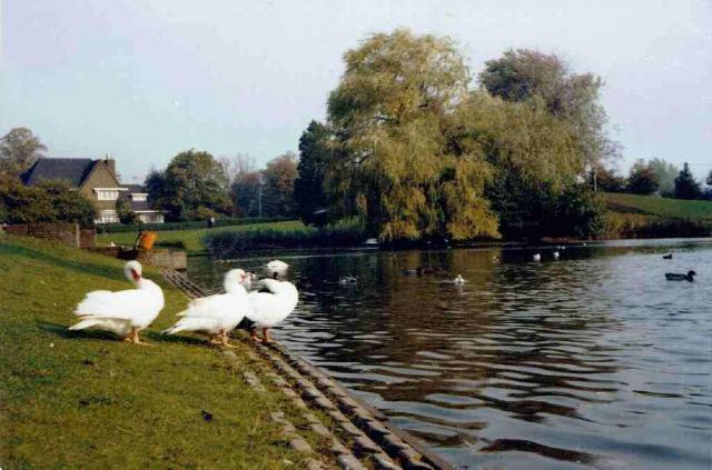 Laapersveld 1970 Jo…