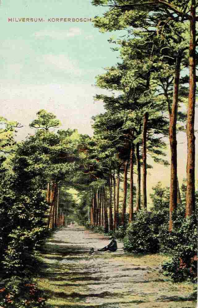 Korfersbosch 1910 J…