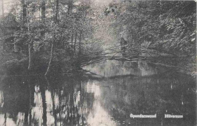 Spanderswoud Hilver…