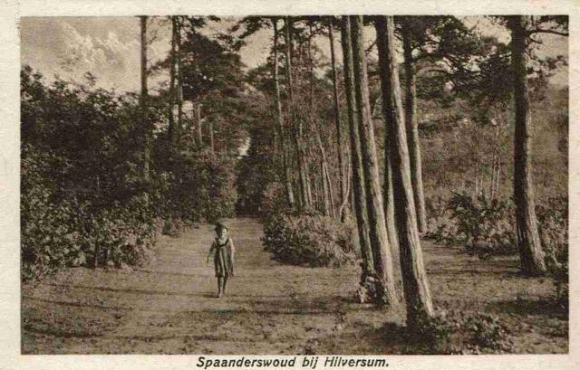 Spaanderswoud bij H…